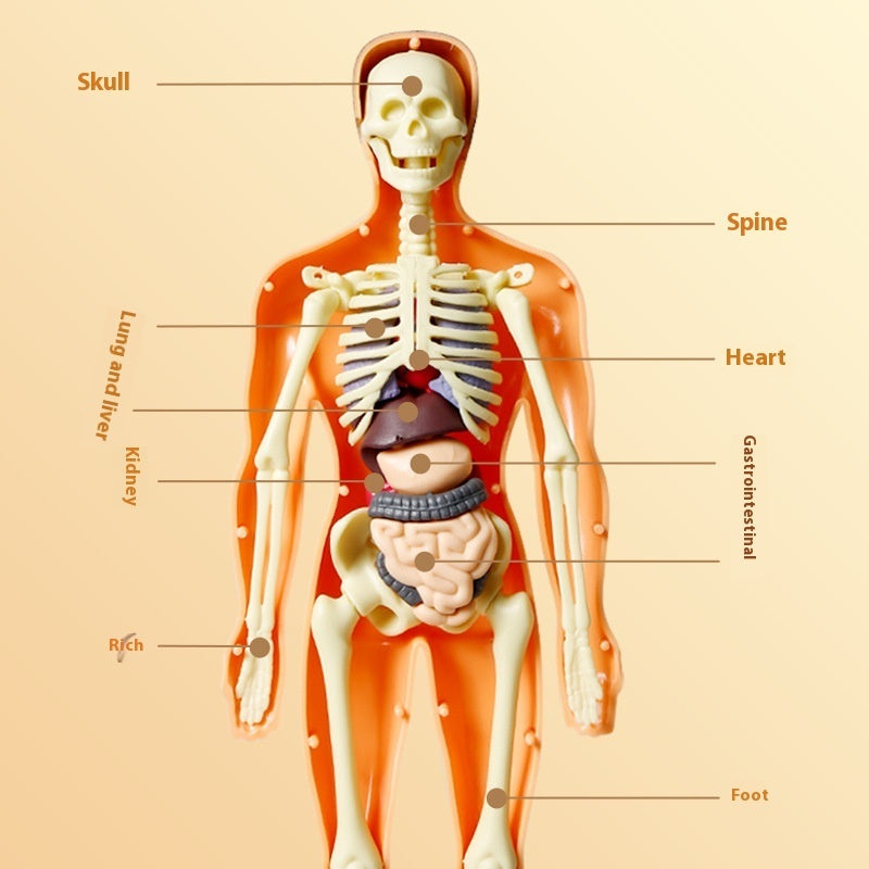BrainBuild™ – Cognitive Learning Toy for Kids