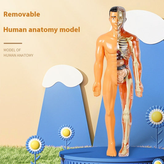 BrainBuild™ – Cognitive Learning Toy for Kids