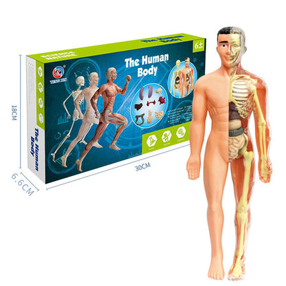 BrainBuild™ – Cognitive Learning Toy for Kids